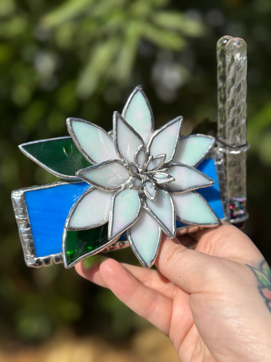 Lotus Kaleidoscope